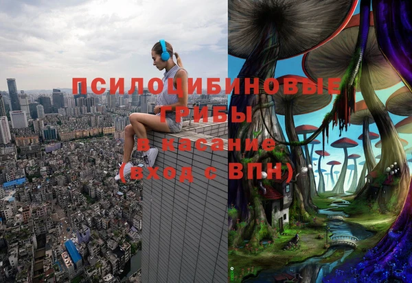 кокс Алексеевка