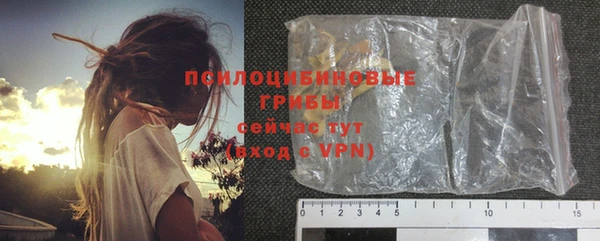 ГАЛЛЮЦИНОГЕННЫЕ ГРИБЫ Алексин