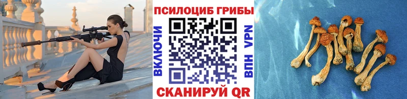 Галлюциногенные грибы MAGIC MUSHROOMS  Андреаполь 
