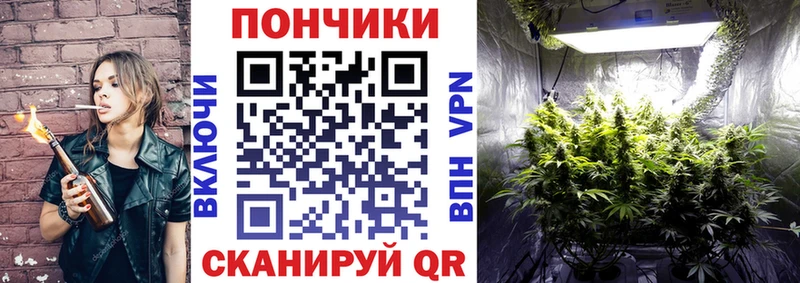 сколько стоит  Андреаполь  Каннабис планчик 